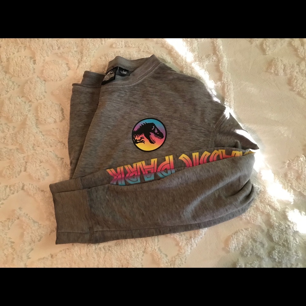 Grey “ jurassic Park” crop long sleeve top.